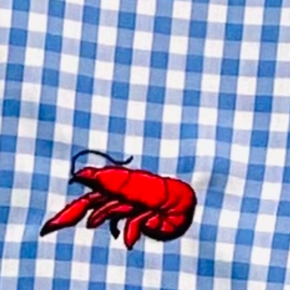 Cajun Clothing Company Shirt Men’s Large Blue Checkered Embroidered Crawfish